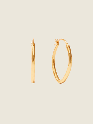 Fleur-de-lis 2 in 1 Earring